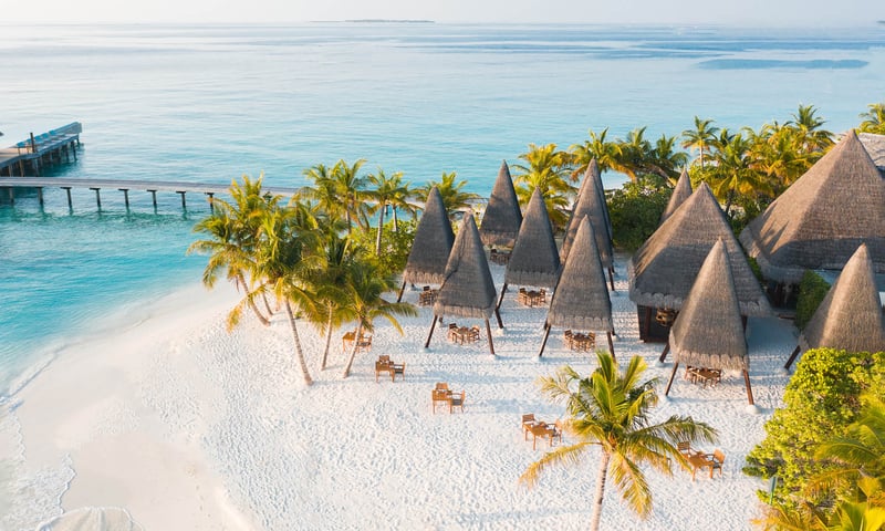 Ginifati is the beachside seafood grill where you can dine with your toes in the sand.