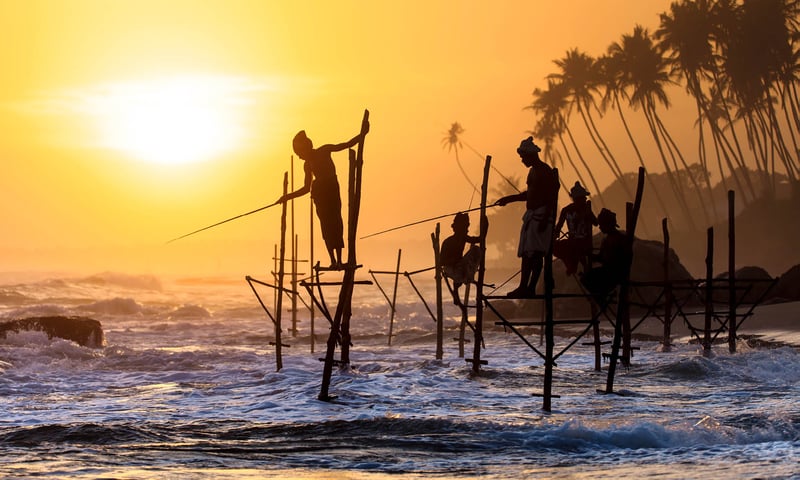 Discover the unique cultural beauty of Sri Lanka.