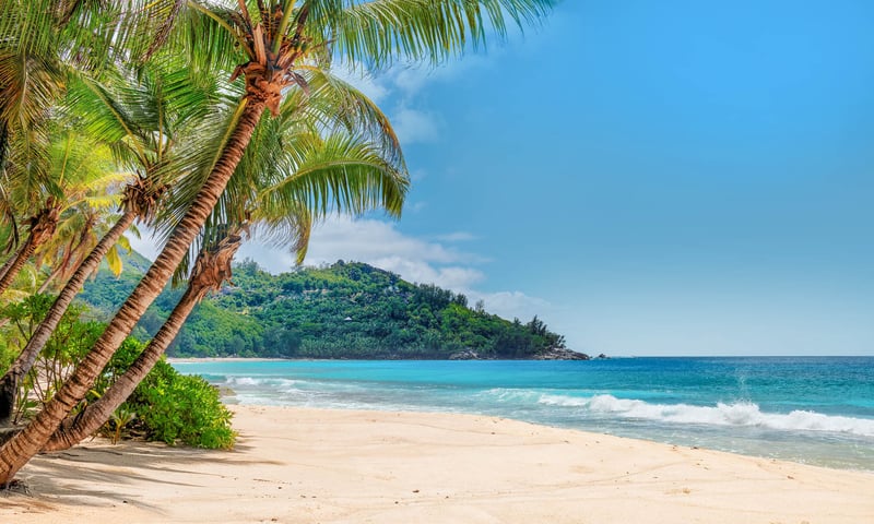 Dive into Jamaica’s reggae rhythms and turquoise waters in Montego Bay (Itinerary 1).