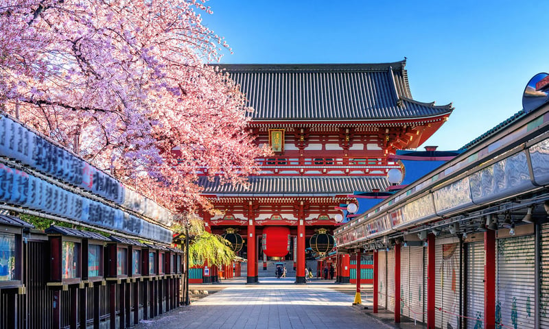 Explore Senso-ji temple and other wonders of Tokyo during leisure time.