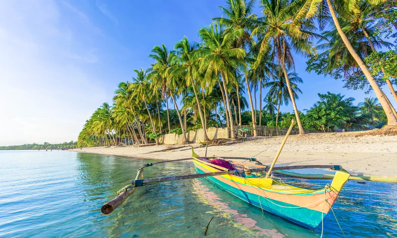 Relax on tropical Bohol Beach, famous for its white sand and crystal-clear waters.