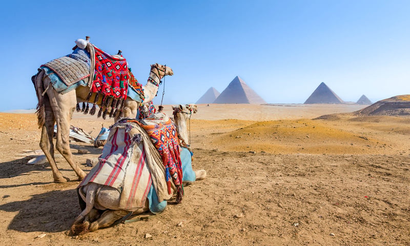 Camels and pyramids, Cairo delivers bucket list moments from day 1.