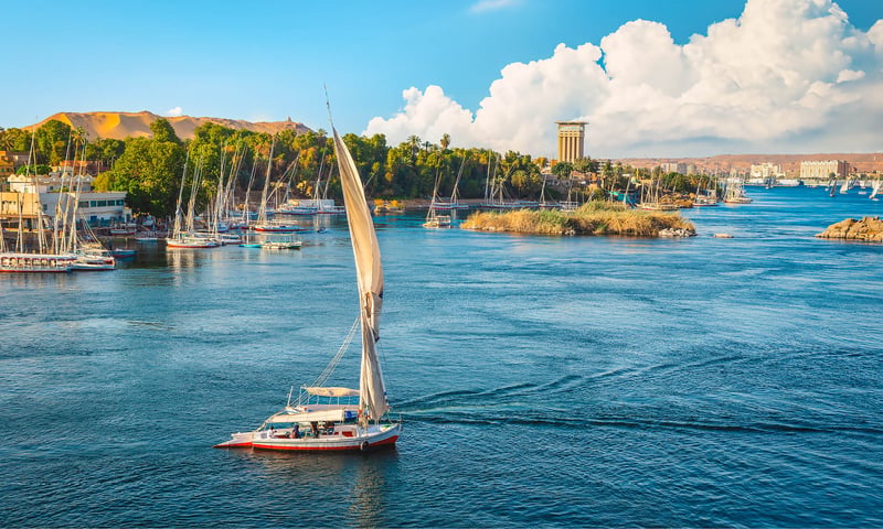 Admire the beauty of the Nile on a river cruise.
