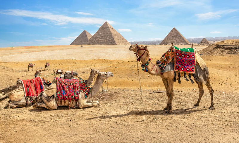 See the Pyramids of Giza in Egypt.