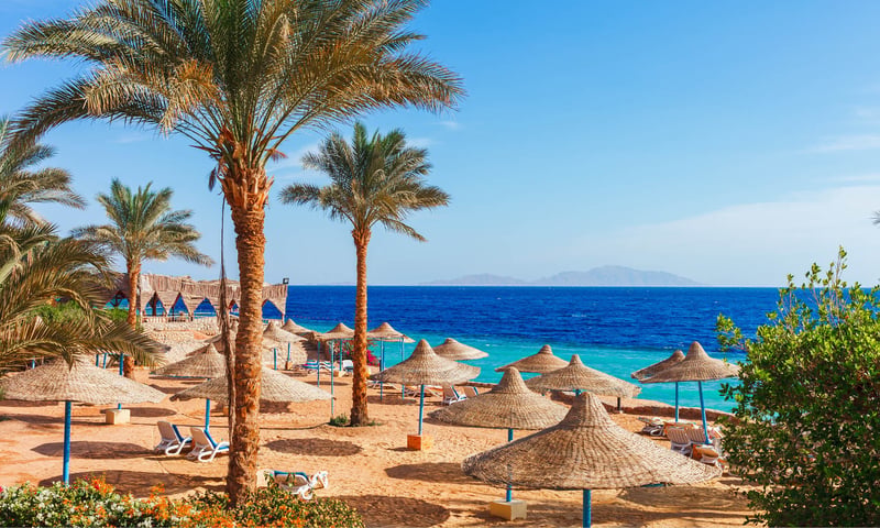 Relax in an all-inclusive resort in Hurghada on the Red Sea.