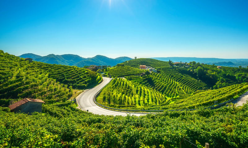 Experience the amazing landscapes of the  Prosecco Hills region.