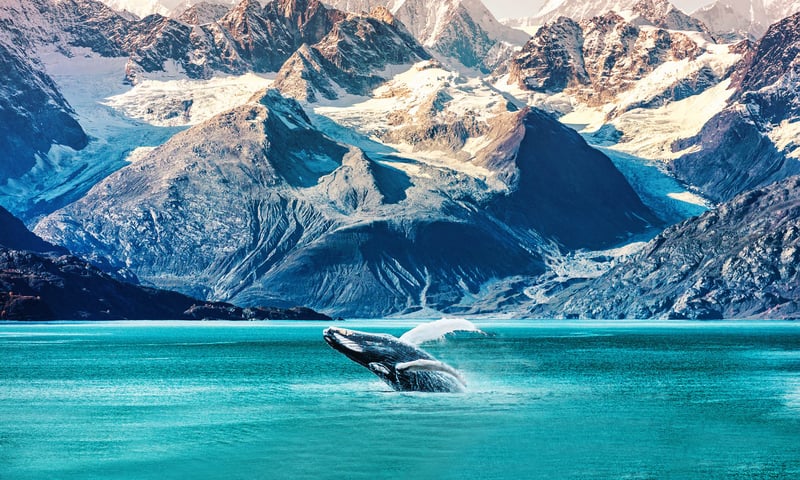 Discover Alaska's breathtaking scenery, glaciers and remote frontier towns.