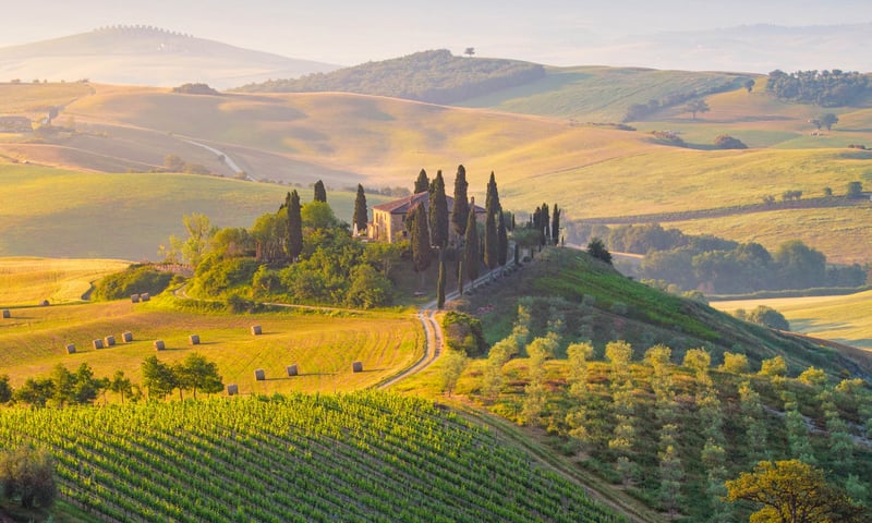 Travel through the gorgeous Tuscan countryside while in Italy.