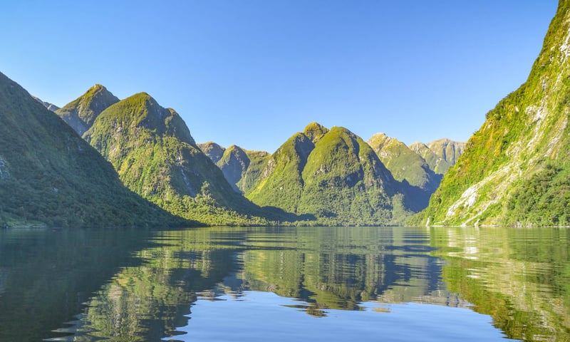 Marvel at the stunning views of Doubtful Sound.