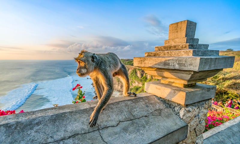 Dock overnight in Benoa to discover Bali’s spiritual essence and lush volcanic landscapes.