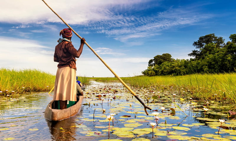 Glide through the Okavango Delta on a traditional mokoro canoe.