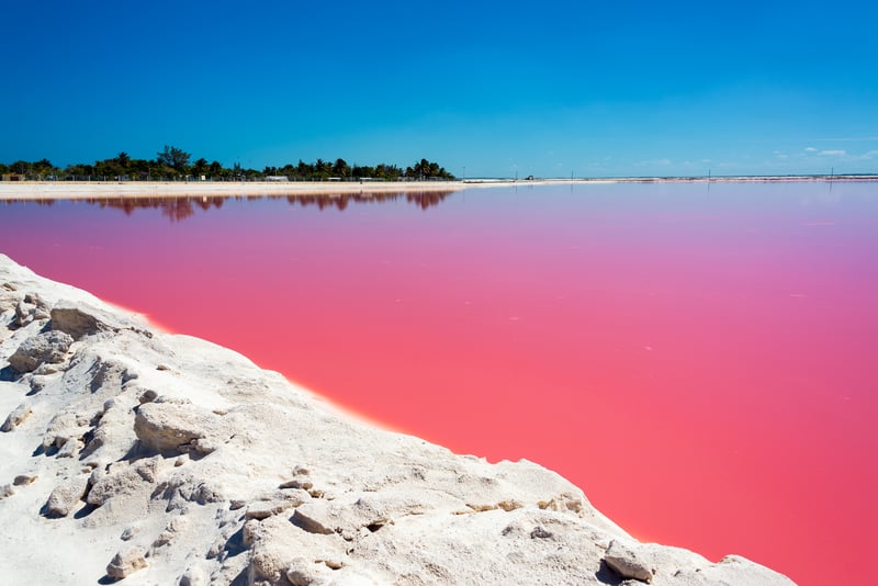 Marvel at the vivid red waters of the iconic Laguna Colorada, Bolivia.