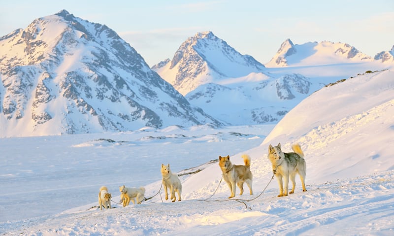 Look out for dog sledders in Sisimiut, Greenland (Itinerary 1).