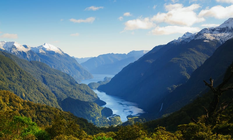 Delight in the scenery of Fiordland National Park, New Zealand.
