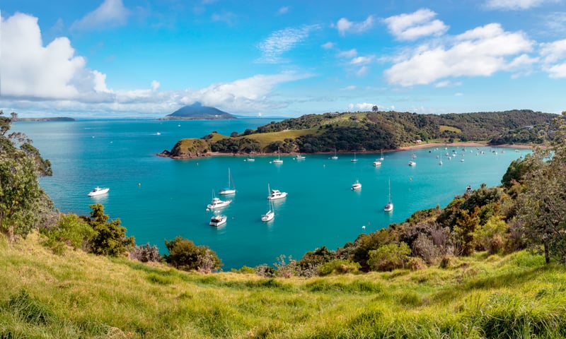 Head to Waiheke Island with free time in Auckland, New Zealand.
