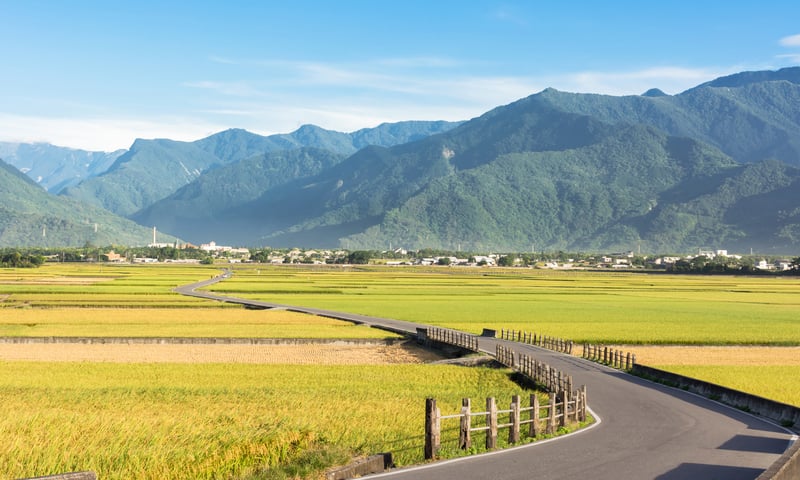 Enjoy the scenery of Mr Brown Avenue in Chishang Township, Taiwan.
