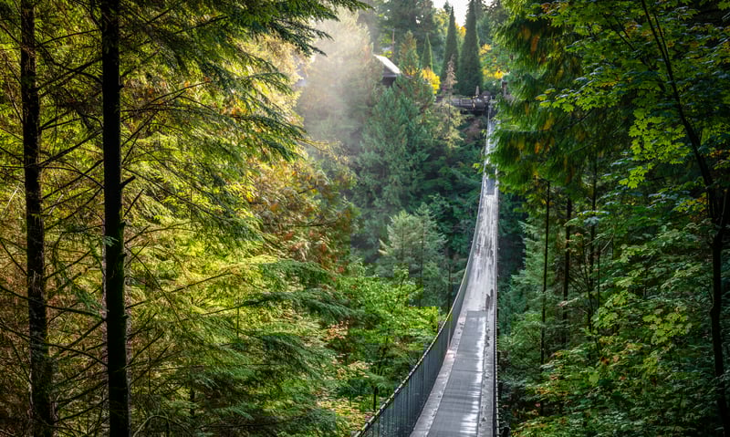 Walk the Capilano Suspension Bridge Park with free time in Vancouver, Canada (charges apply).