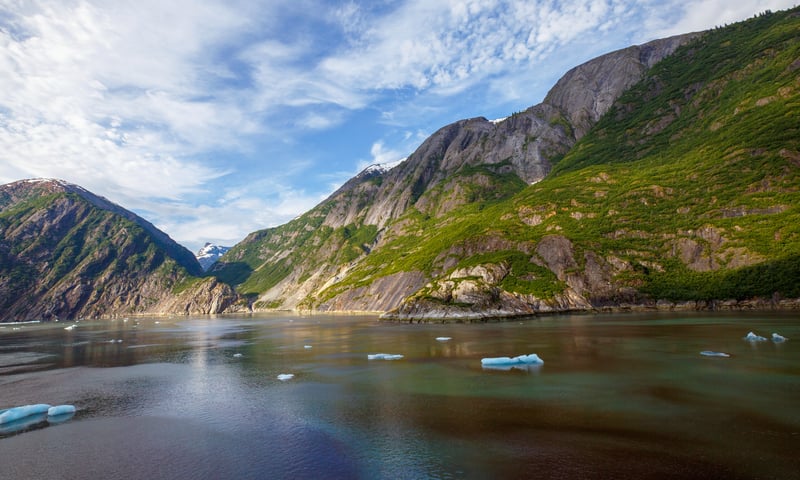 Take in idyllic scenery along Tracy Arm Inlet, Alaska.