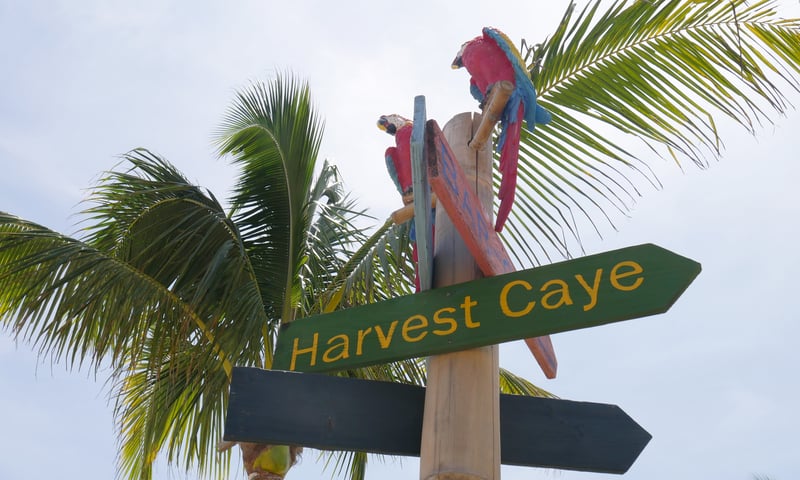 Enjoy some relaxing time in Harvest Caye, Belize.