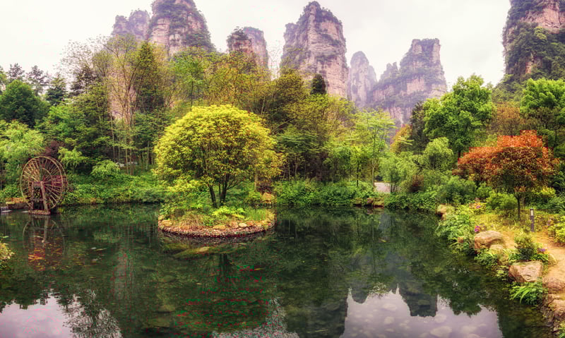 Reach Gold Whip Stream at Zhangjiajie National Forest Park.