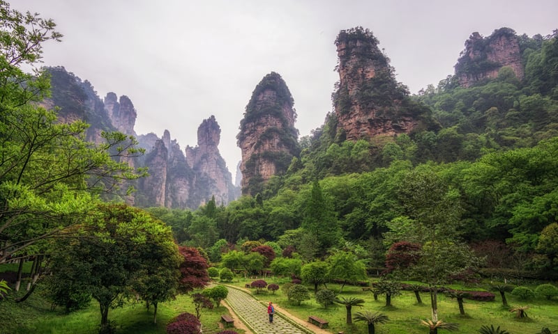 Take an optional full-day tour to Yuanjiajie Scenic Area, Zhangjiajie.