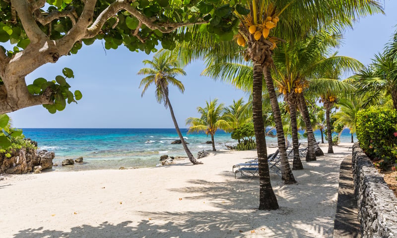 Honduras' Roatan Island is renowned for its pristine beaches, turquoise waters, and lush greenery.