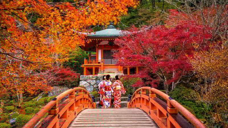 Seek out Daigo-ji temple with time at leisure in Kyoto, Japan.