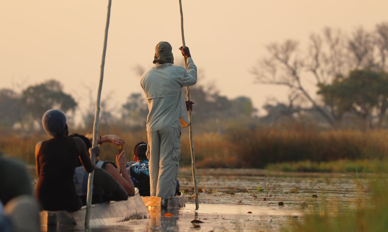 Ride a traditional mokoro in Okavango Delta, Botswana.