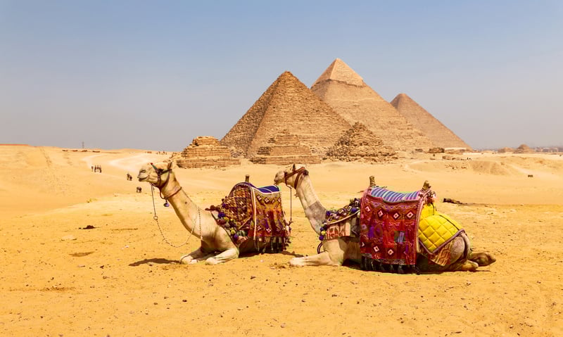 Visit the Pyramids of Giza.
