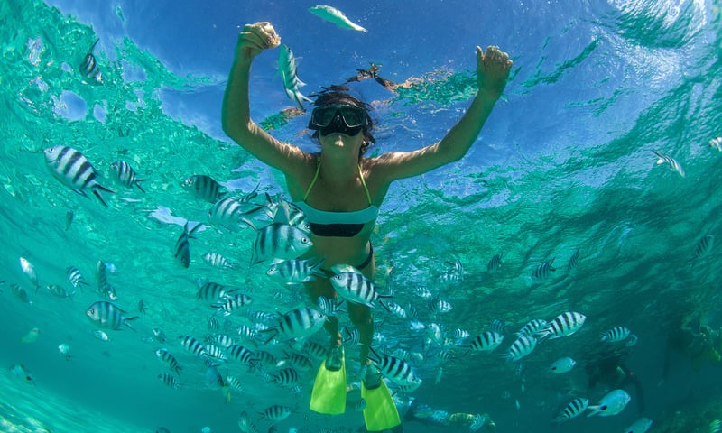 Soak up the sun or take yourself snorkelling while on Mauritius.
