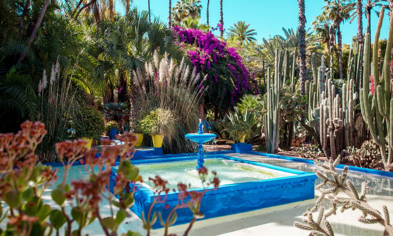 Visit the colourful Majorelle Garden and Yves St Laurent Museum in Marrakech, Morocco.