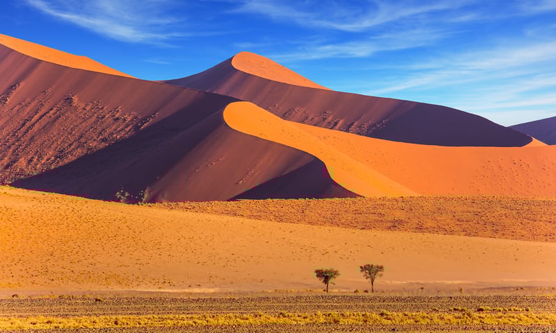 Look for some of the world's highest dunes in Namibia's sun-scorched Namib Desert.