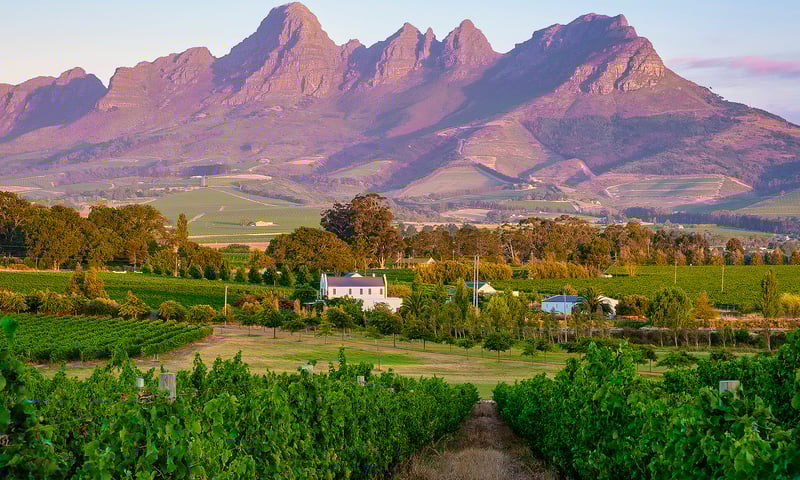 Take an optional tour of Cape Winelands near Cape Town, South Africa (charges apply).