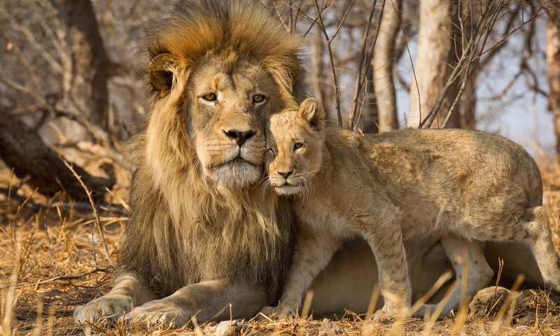 Keep your camera ready to snap once-in-a-lifetime pictures.