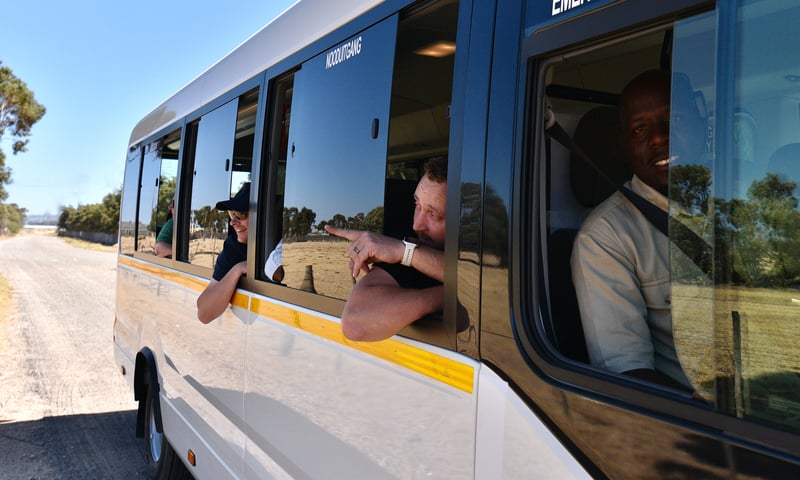 Track legendary wildlife in Kruger National Park.