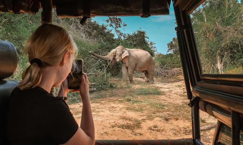 Experience exhilarating game drives during your South Africa tour.