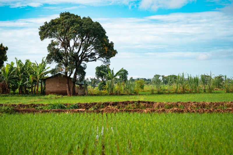 The lively traditional village of Mto wa Mbu, Tanzania.