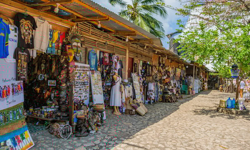 Explore the vibrant streets of Tanzania.