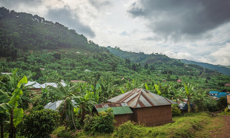 Visit The Batwa, also known as the Pygmy, an indigenous tribe in Uganda.