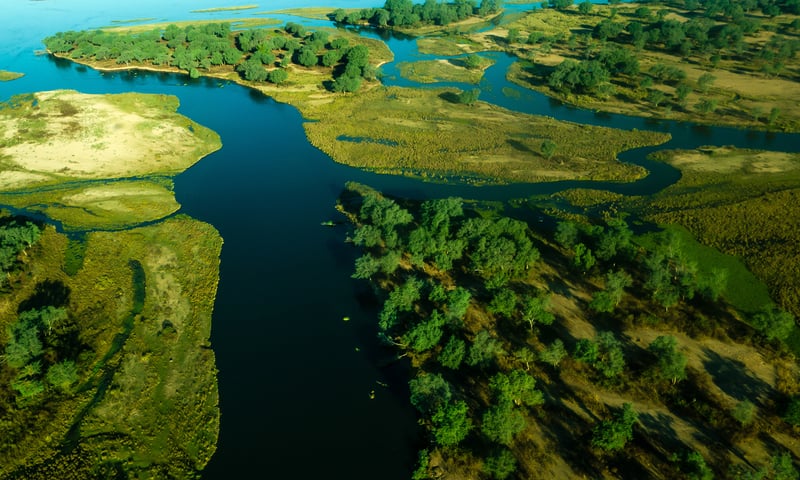 Luangwa Delta