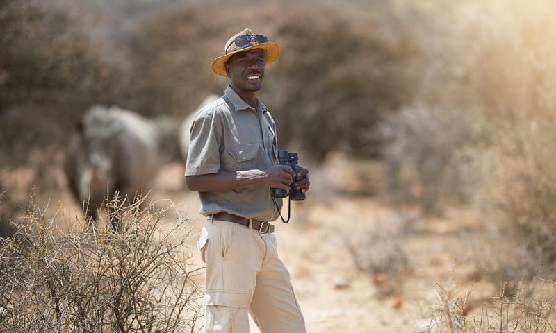 Be guided by experienced rangers in Hwange National Park, Zimbabwe.