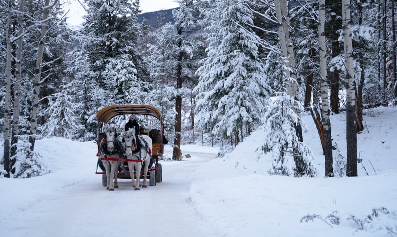 Spend a free day creating your own winter adventure in Jasper, Canada.