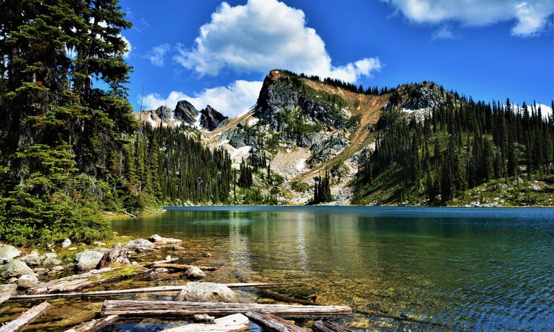 Mount Revelstoke National Park is located in southeastern British Columbia, Canada.