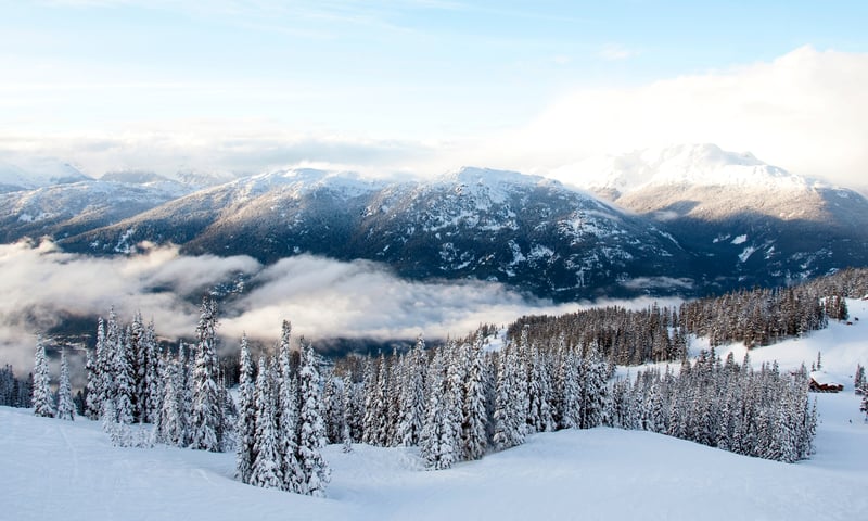 Lose yourself in the winter landscapes of Whistler, Canada.