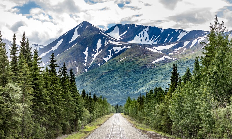 Enjoy incredible views as you travel through pristine wilderness at the Denali National Park.