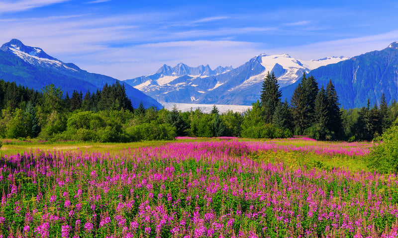 The Mendenhall Glacier near Juneau is spectacular.