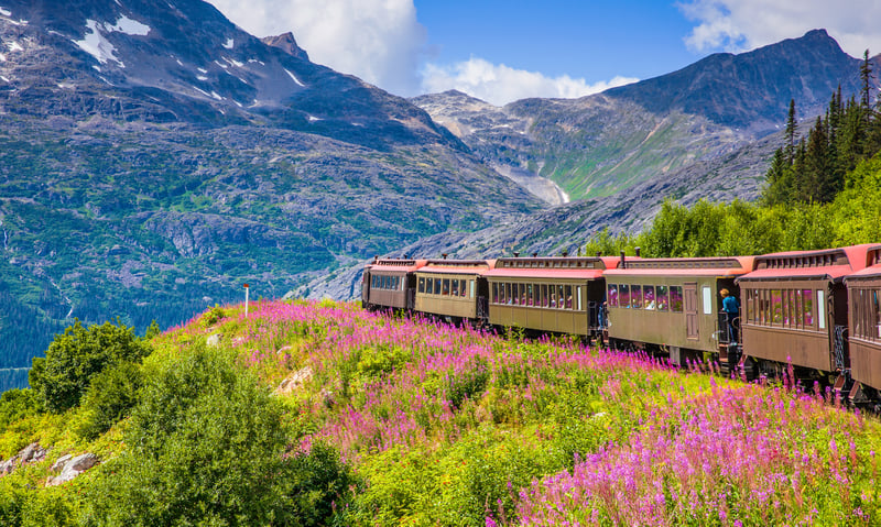 White Pass & Yukon Route Railway takes you past glaciers, through tunnels and across old bridges.