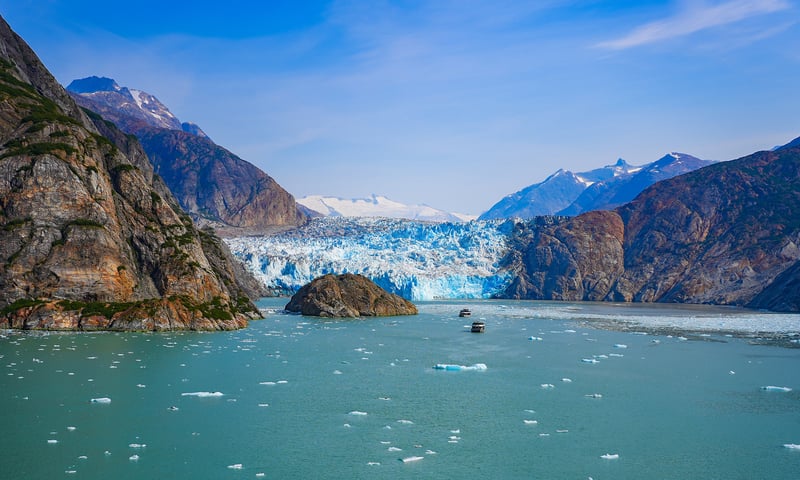 See the impressive Tracy Arm Fjord (selected itineraries).
