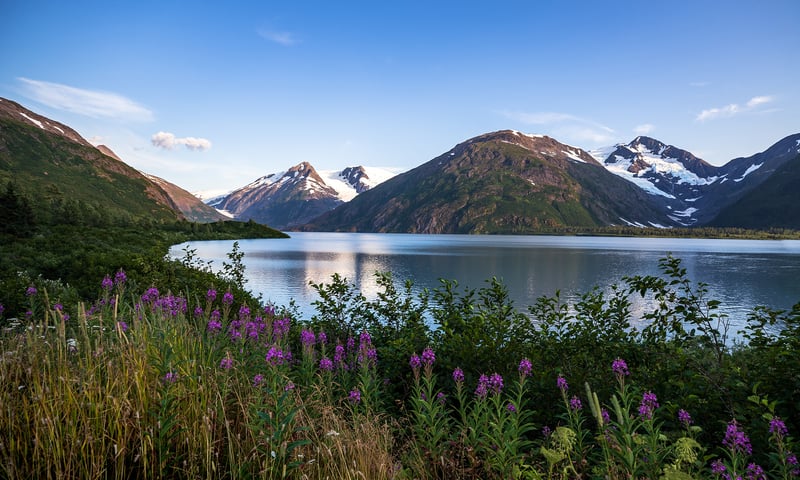 Board Holland America's Westerdam or Nieuw Amsterdam to enjoy Whittier's stunning scenery.