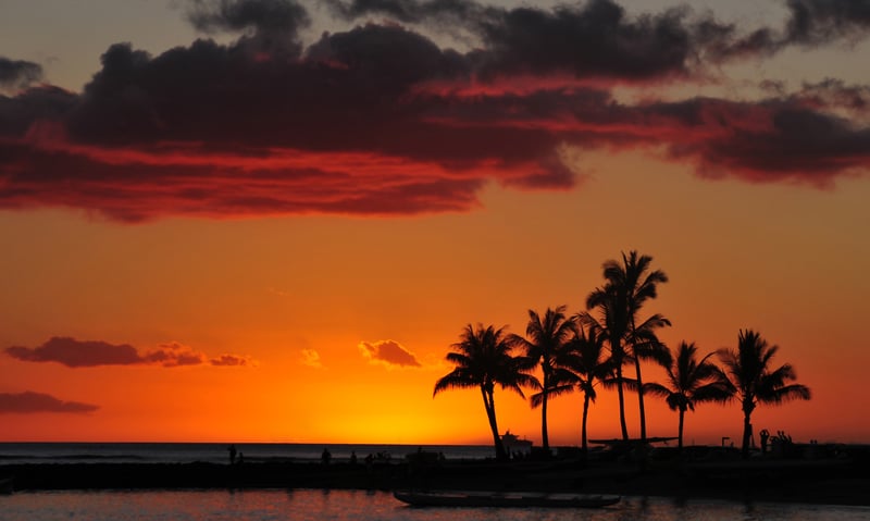 Spend 5 nights of hotel accommodation in Honolulu, Hawaii (Resort fees included).